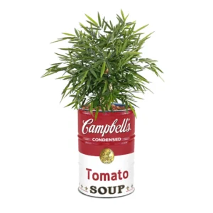 Olievat plantenbak 200L - Campbell Soup