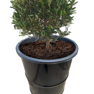 Olievat plantenbak 120L