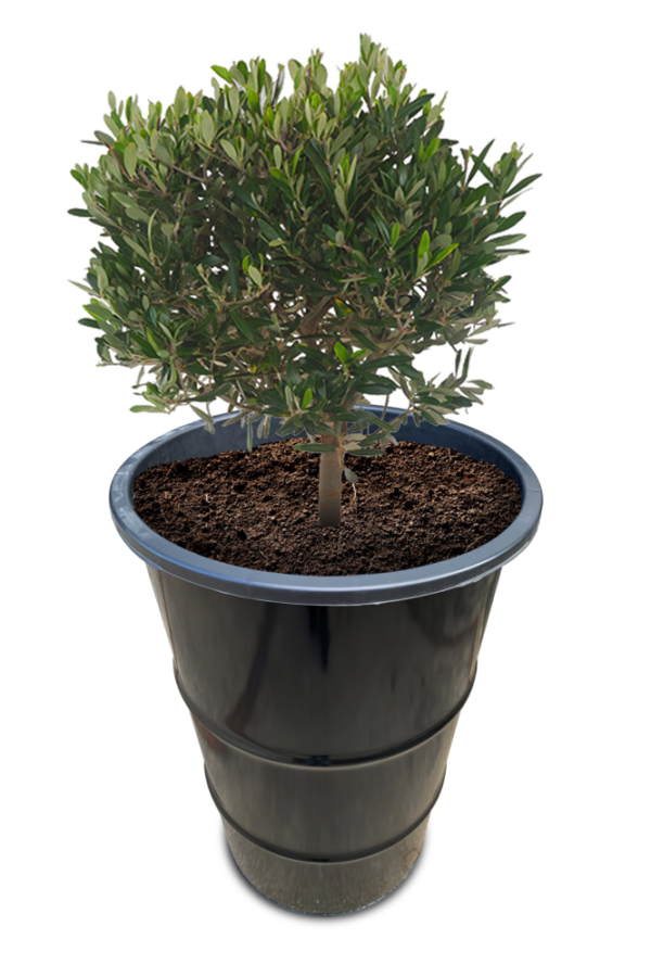 Olievat plantenbak 120L